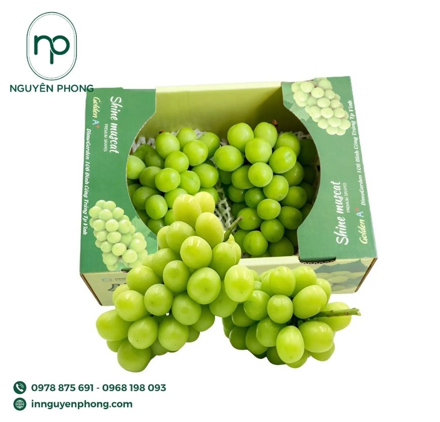 mau-thung-carton-dung-nho-nguyen-ban 